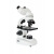 Mikroskop szkolny Biolux Bino LED
